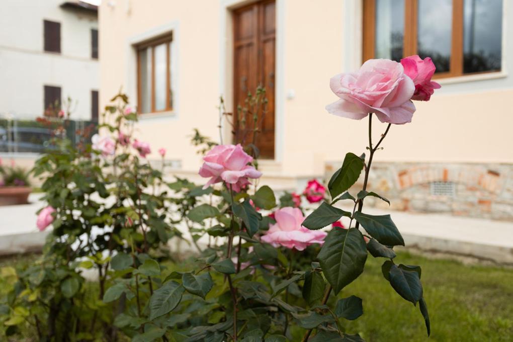 Villa Rosa Antica Lucca Exteriér fotografie